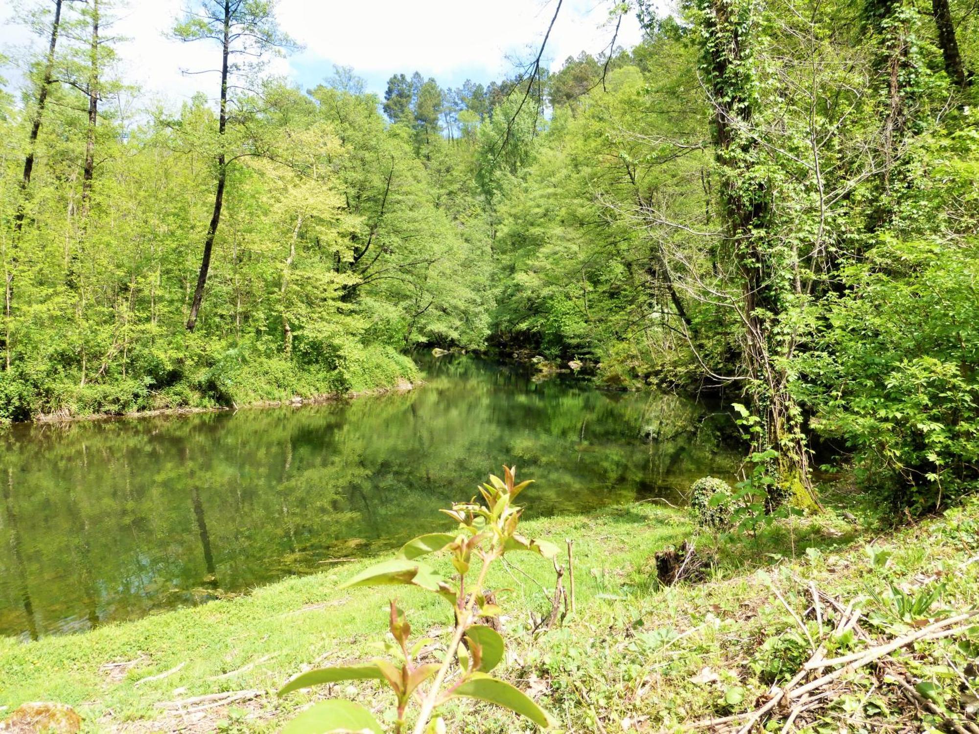 Chateau Du Fraissinet, 6 Gites Sleeping 2-8 Guests, Pool And River On Site La Tronche  Exteriér fotografie